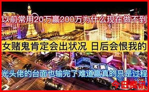 澳门总站资料